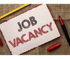 LAUNDRY DRIVER ASSISTANT WORKER