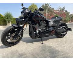 2019 Harley Softail FXDR 114 Motorcycle