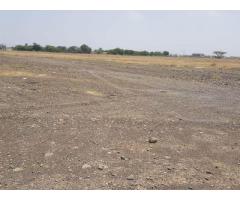 land in Manama 9 near Masjed good price