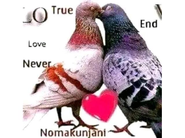 Bring Back Lost Love | Return Back Ex - Lover +27735584255  ,CANADA, NEW YORK CITY. Bring Back Lost Love | Return Back Ex - Lover +27735584255  ,CANADA, NEW YORK CITY.