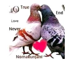 Bring Back Lost Love | Return Back Ex - Lover +27735584255  ,CANADA, NEW YORK CITY. Bring Back Lost Love | Return Back Ex - Lover +27735584255  ,CANADA, NEW YORK CITY.