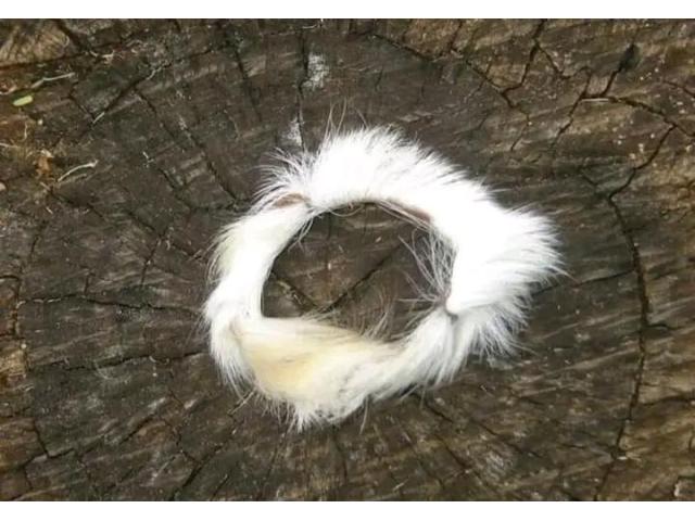 What does it take to find a lost love+27735584255  ,CANADA, NEW YORK CITY. What does it take to find a lost love+27735584255  ,CANADA, NEW YORK CITY.