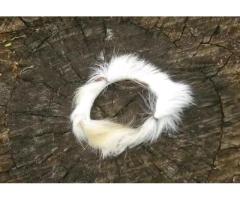 What does it take to find a lost love+27735584255  ,CANADA, NEW YORK CITY. What does it take to find a lost love+27735584255  ,CANADA, NEW YORK CITY.