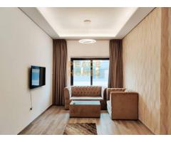 Multiple options | Fully Furnished 1bhk | Available in 12 Chqs